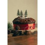 Panettone con cioccolato senza lattosio NEW FOOD